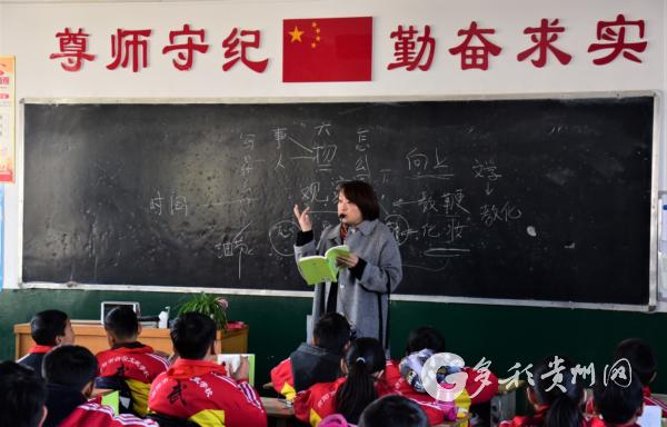 探索仁爱区,全方位详细解读