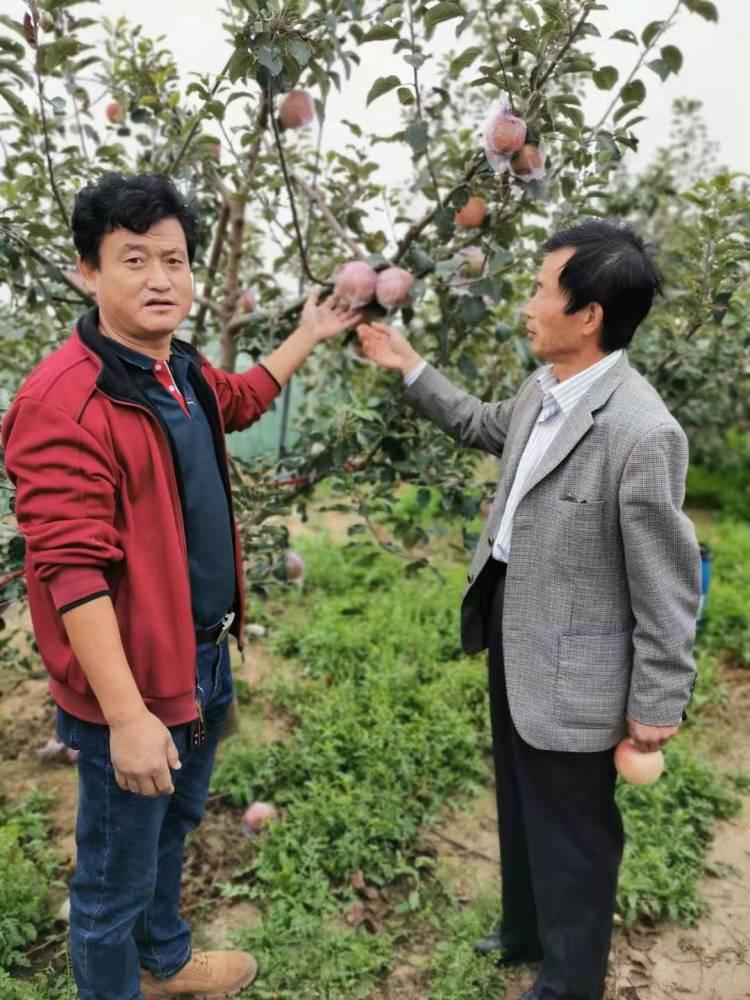 平度市，历史悠久的城市，展望未来发展的新篇章